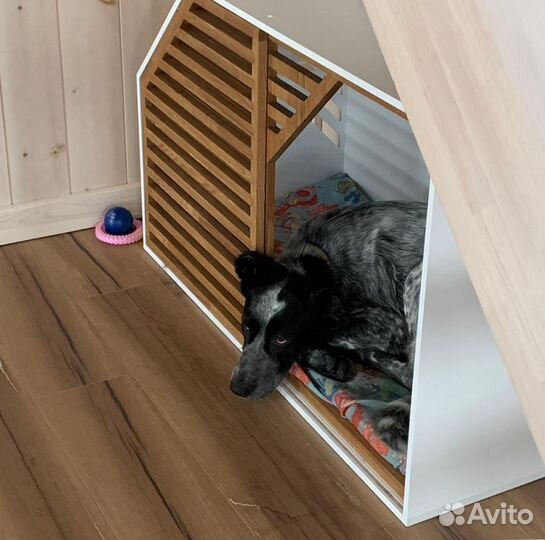 Вольер для Большой собаки