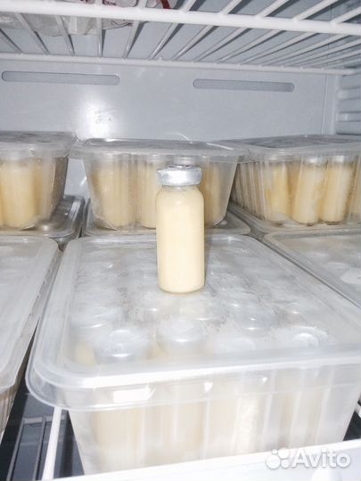 Маточное молочко нативное