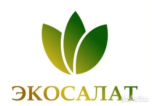 Заведующий складом на пищевом производстве