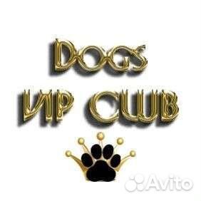 Родословная собакам, актировка пометов, дипломы