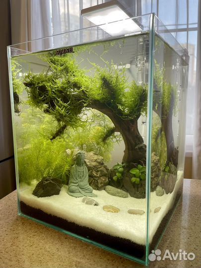 Аквариум с дизайном