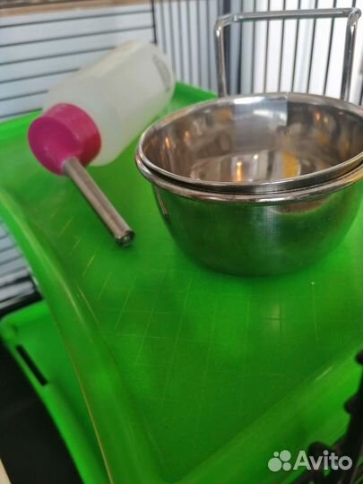 Клетка всё включено