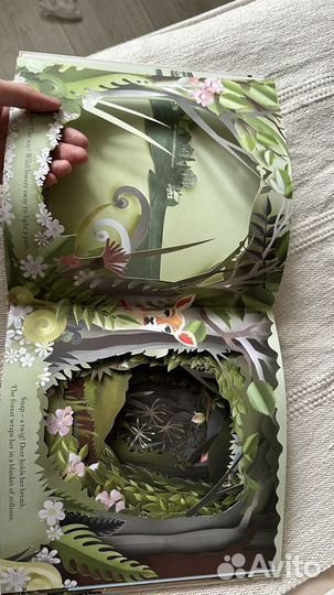 Книга A Walk throught the woods