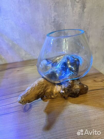 Ваза для флорариума