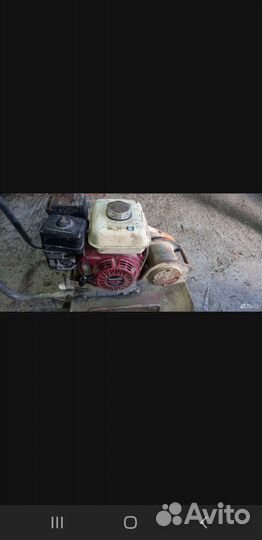 Виброплита в аренду