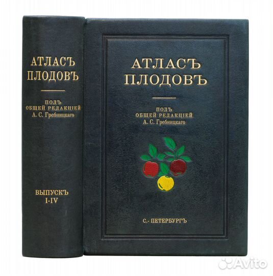 Атлас плодов. Сто хромолитографированных таблиц с