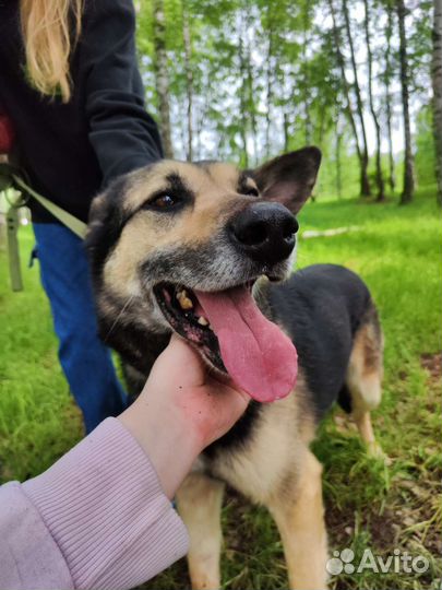 Оказался ненужным и на улице