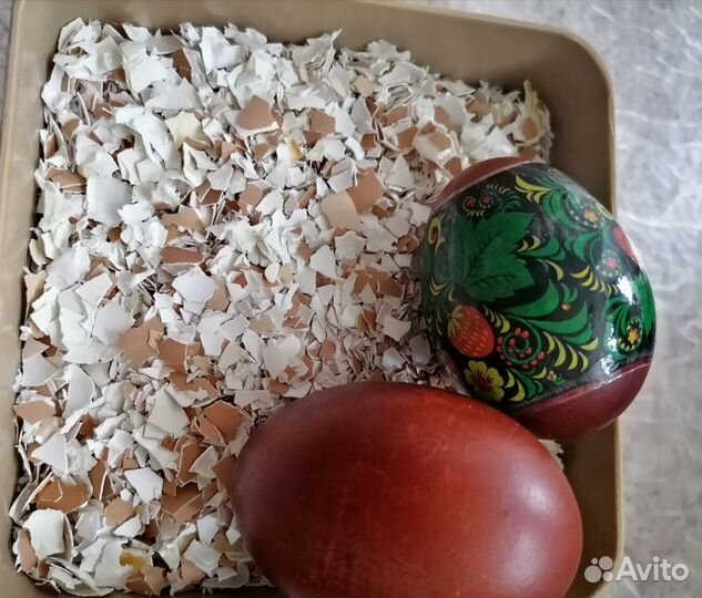 Яичная скорлупа