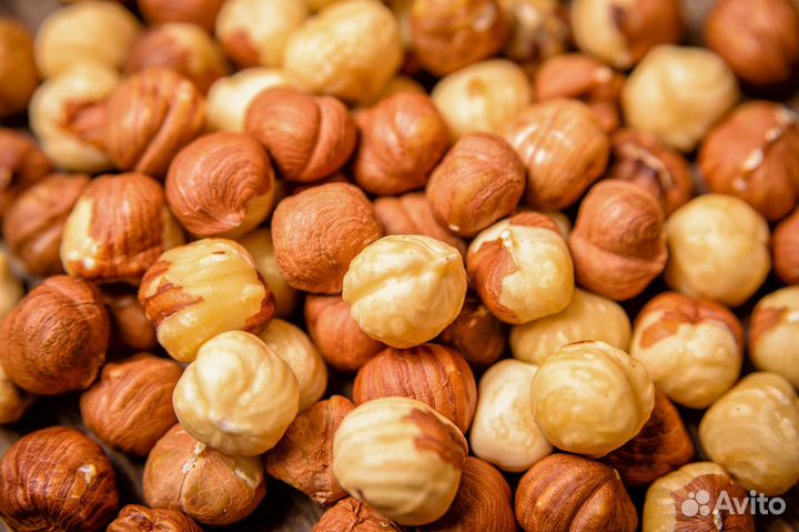 Жареный фундук, Россия