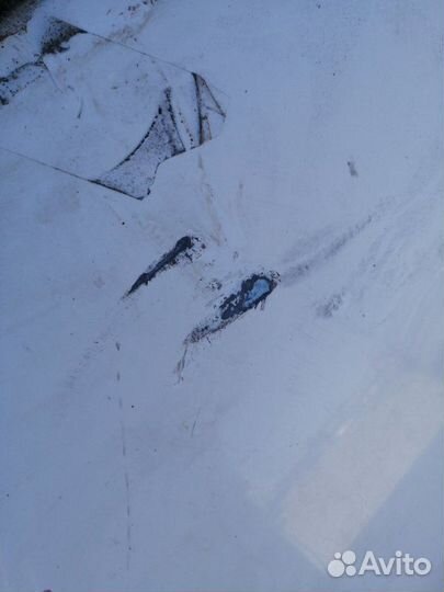 Капот Nissan Ad Y12