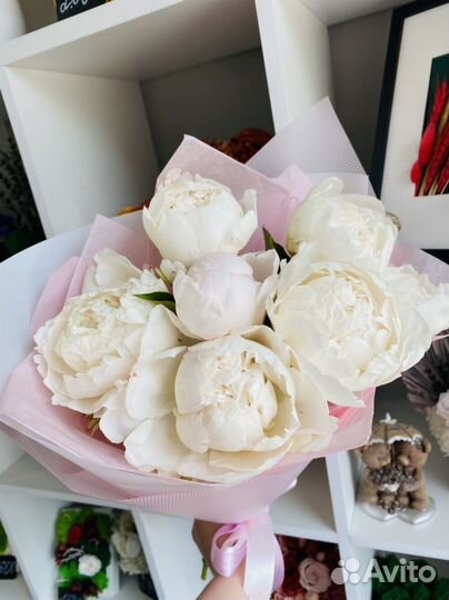 Пионы,цветы,букеты,розы,гипсофила