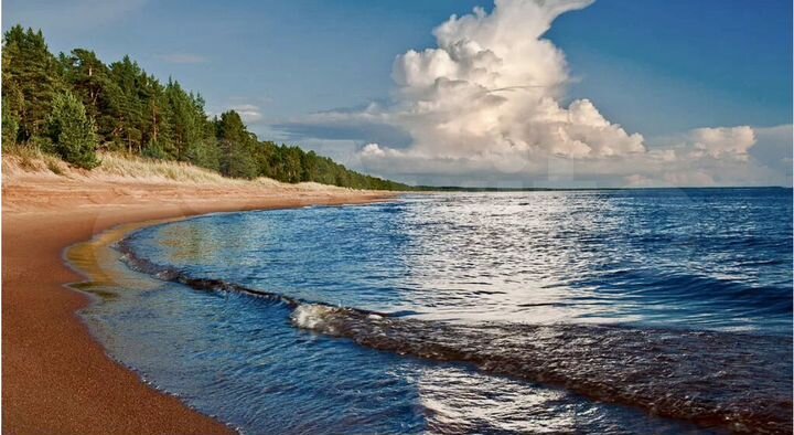 Участок 8 сот. (СНТ, ДНП)