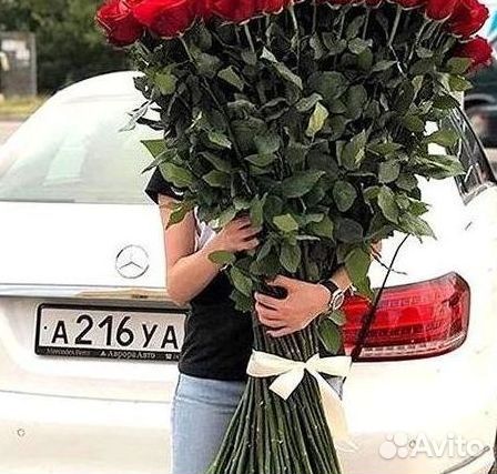 Розы гиганты 140 150 160 170 180 200