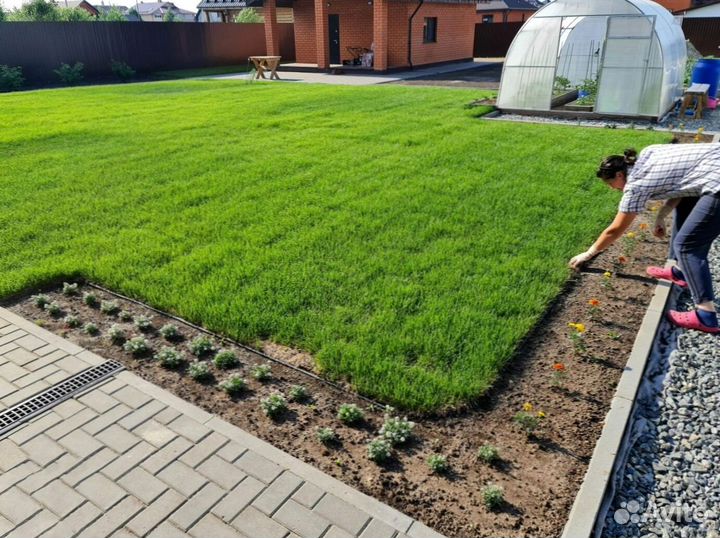 Рулонный газон от производителя - укладка