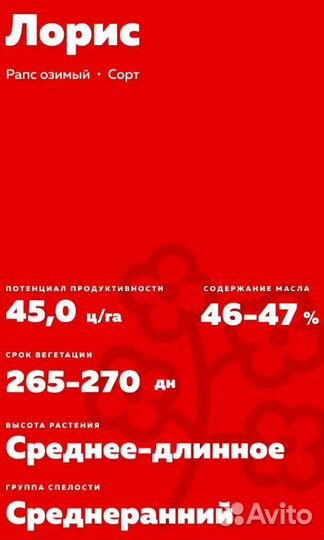 Loris oзимый paпс