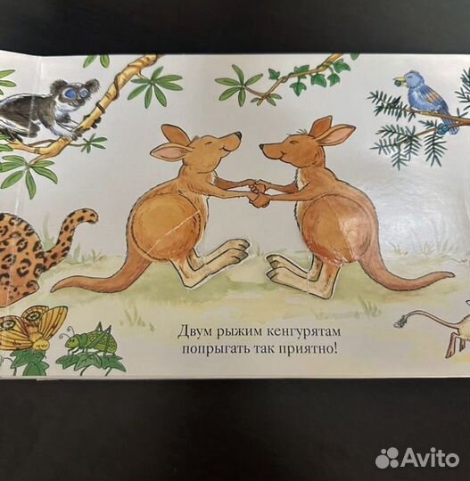 Мэтью ван флит зоопарк