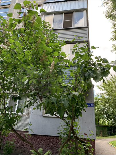 2-к. квартира, 41 м², 3/5 эт.