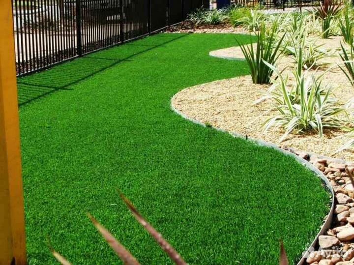 Рулонный газон мятлик