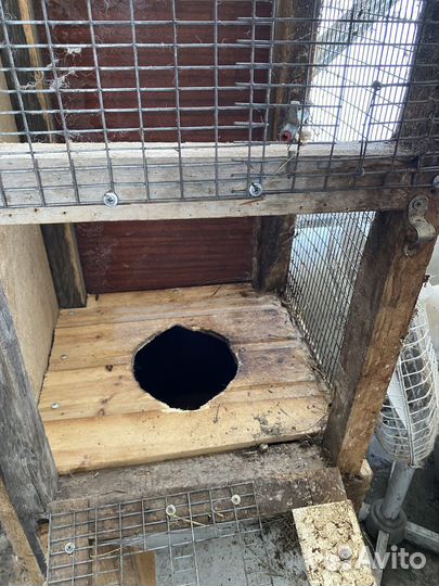 Клетки для кроликов, птицы