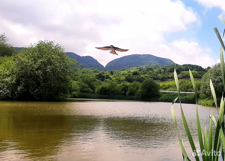 Внедорожные туры, туры по горам. (Джип туры)