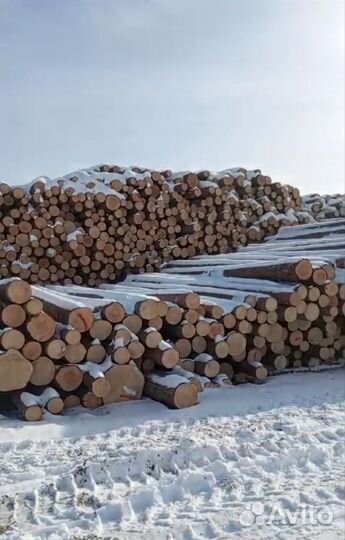 Требуется рамщик, подрамщик