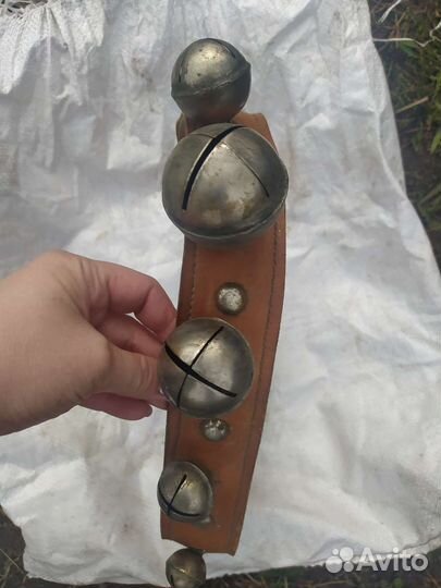 Ошейник (Голуны) с бубенцами для лошади