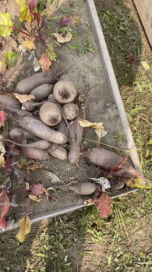 Дача 24 м² на участке 6 сот.