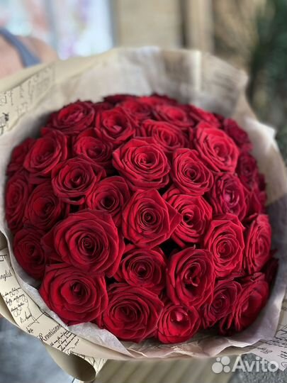 Розы доставка 25 101 201 55 51 31 35