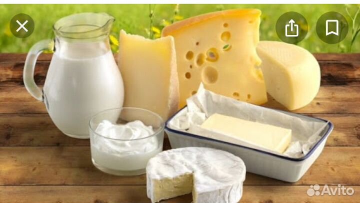 Молоко и молочные продукты