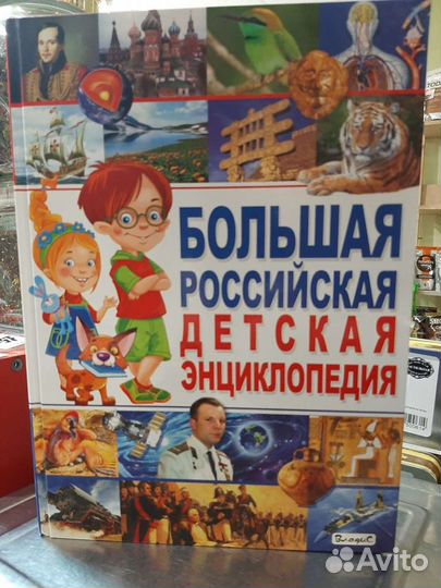 Большая Российская детская энциклопедия, 431 стр
