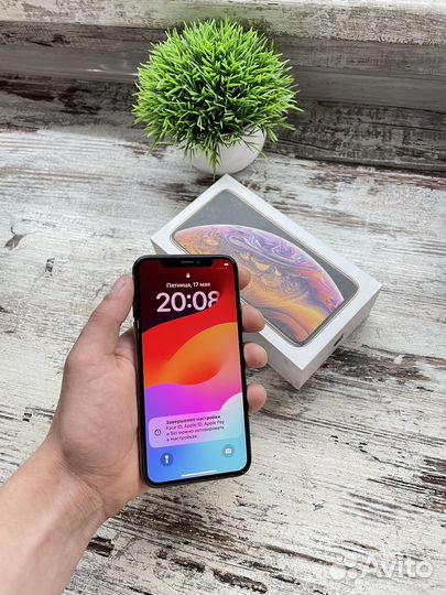 iPhone Xs, 256 ГБ