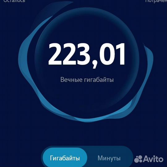 Гигабайты и минуты Теле2