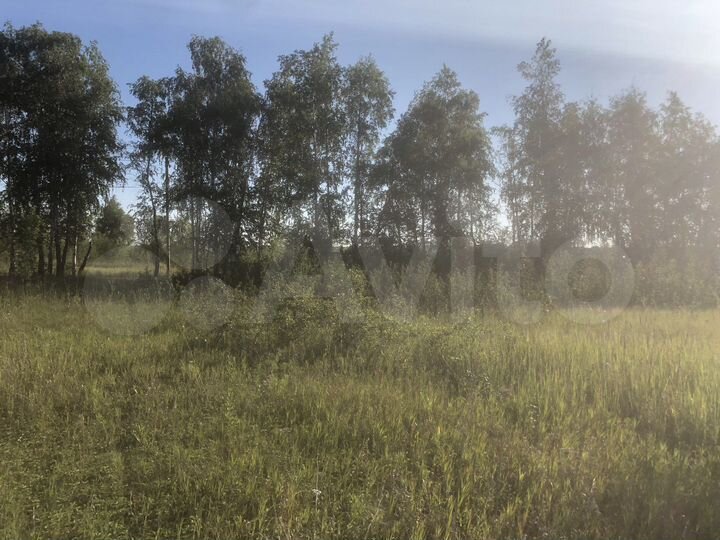 Участок 10 сот. (СНТ, ДНП)