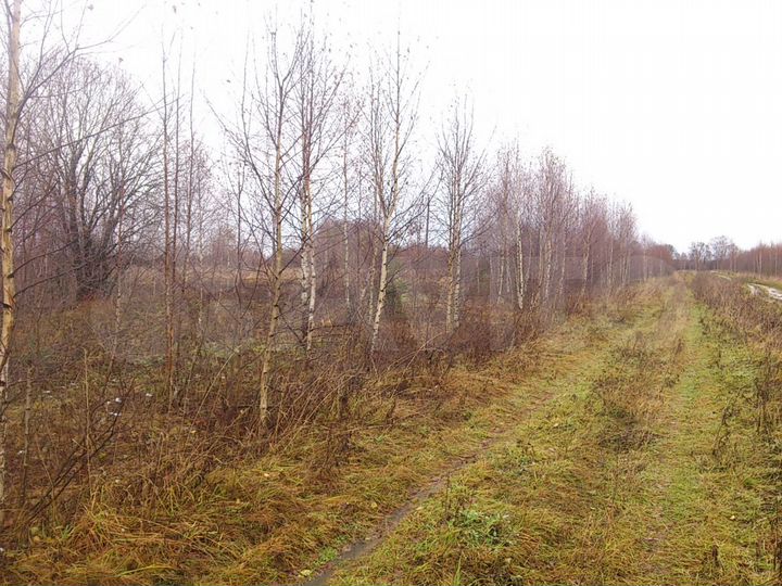 Участок 6 га (СНТ, ДНП)