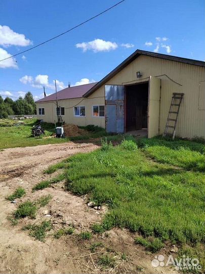 Дояр доярка