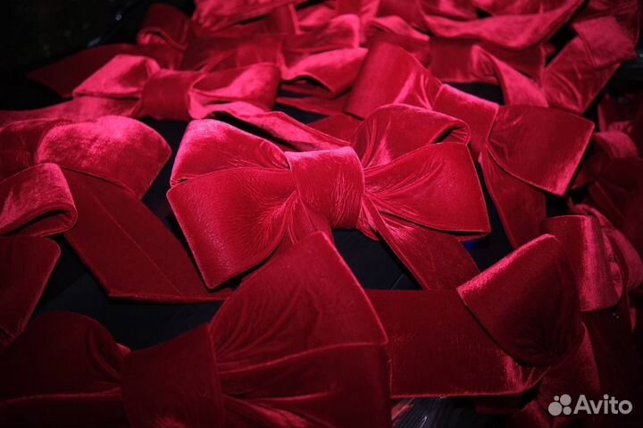 Бант на выписку