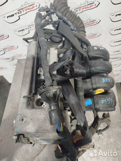 Двигатель toyota pontiac 1ZZ-FE. vista ardeo voltz will VS wish. ZZT251 ZZV50 ZZV50G ZZW30 впуск пла