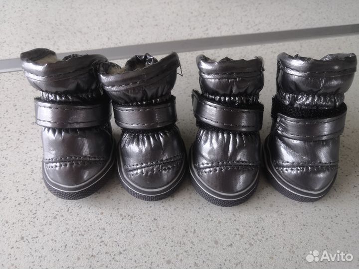 Ботинки для собак мелких пород