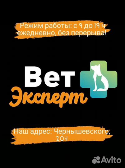 Ветеринарный врач, клиника