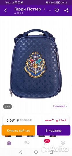 Рюкзак и сумка Hogvarts, Gary Potter