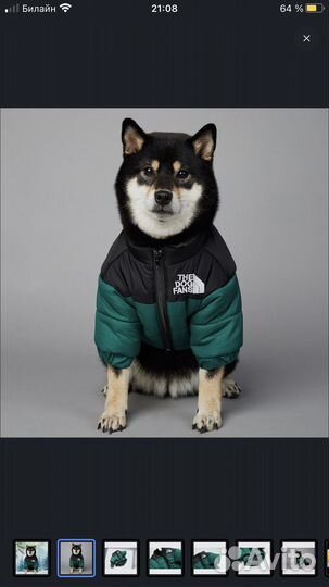 Куртка для собак