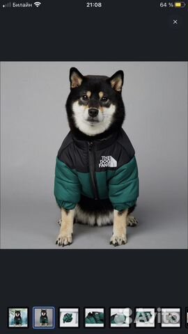 Куртка для собак