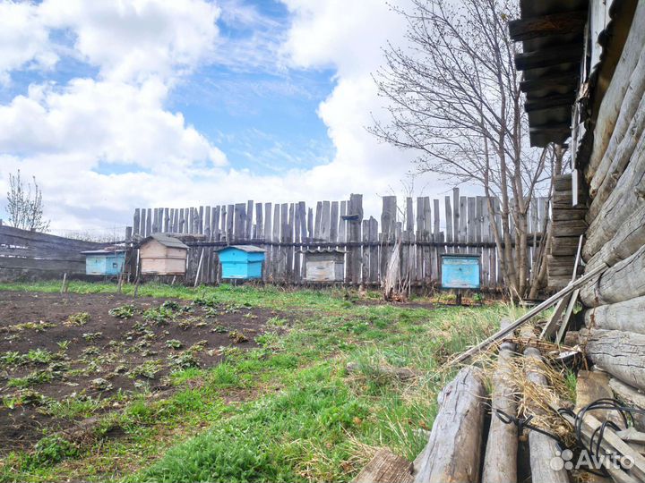 Пчелы с ульями