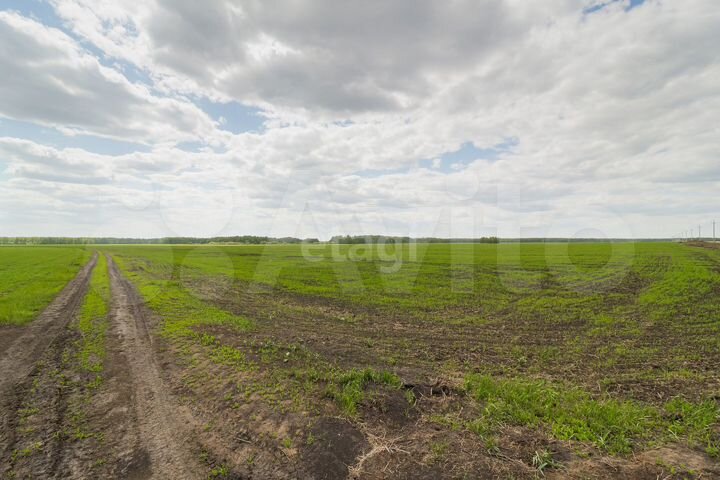 Участок 9,5 сот. (СНТ, ДНП)