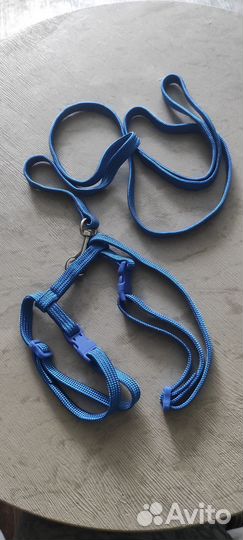 Шлейка для кошки