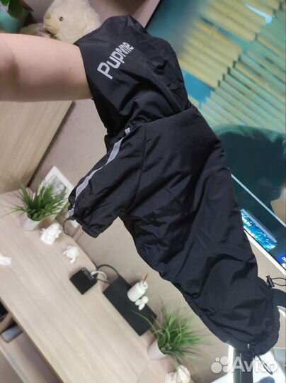 Одежда для собак