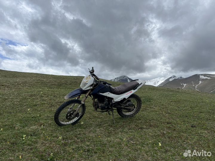 Ирбис ттр 250