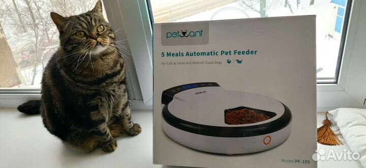 Автоматическая кормушка новая