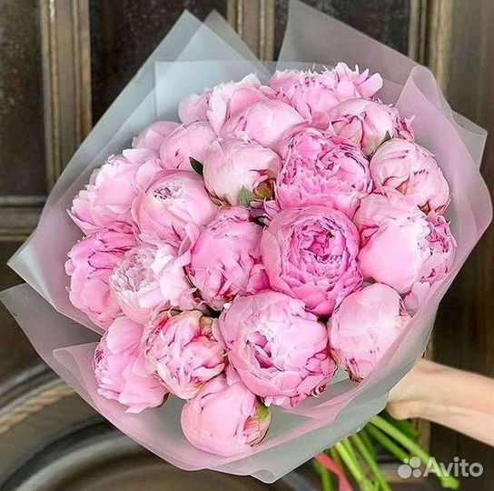 Пионы Букеты Цветы Доставка