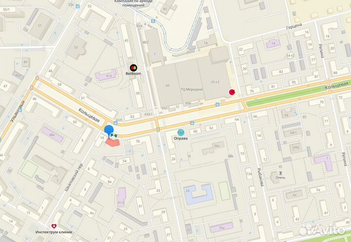 Строманта триколор